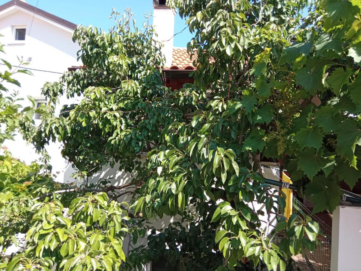 Apartments Antares Mali Lošinj Esterno foto