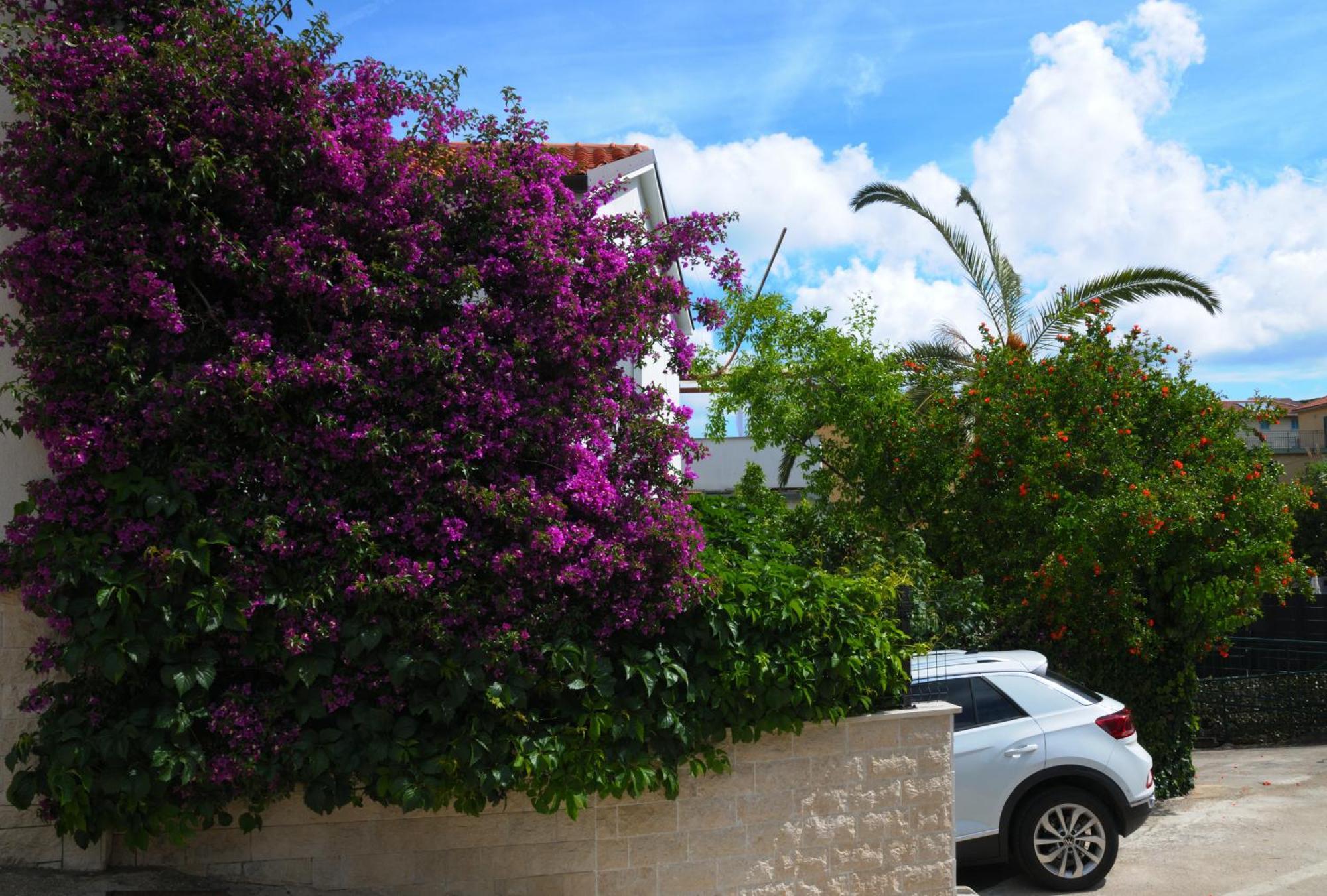 Apartments Antares Mali Lošinj Esterno foto